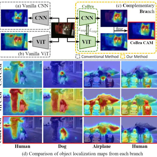 Complementary Branch Fusing Class and Semantic Knowledge for Robust Weakly Supervised Semantic Segmentation