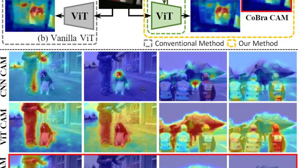 Complementary Branch Fusing Class and Semantic Knowledge for Robust Weakly Supervised Semantic Segmentation