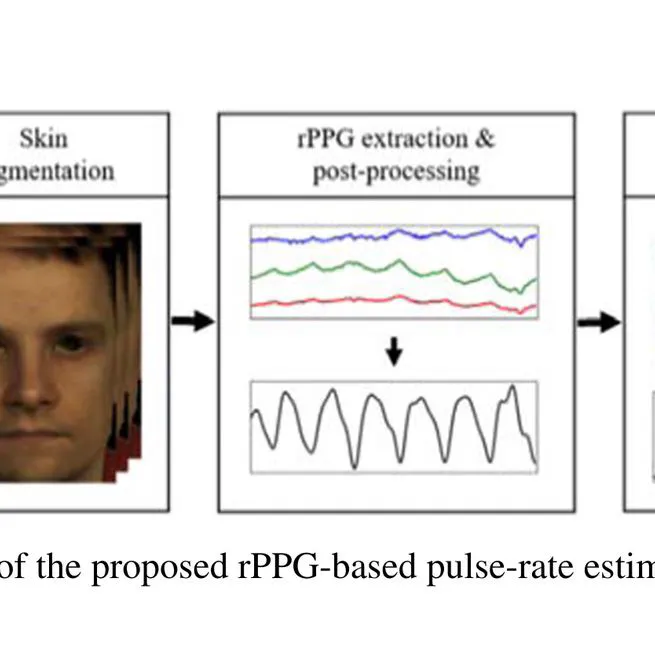 Effect of Time Window Size for Converting Frequency Domain in Real-Time Remote Photoplethysmography Extraction